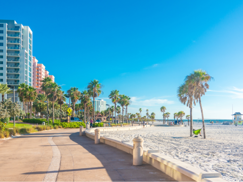 0,5 foto_site_banner 1